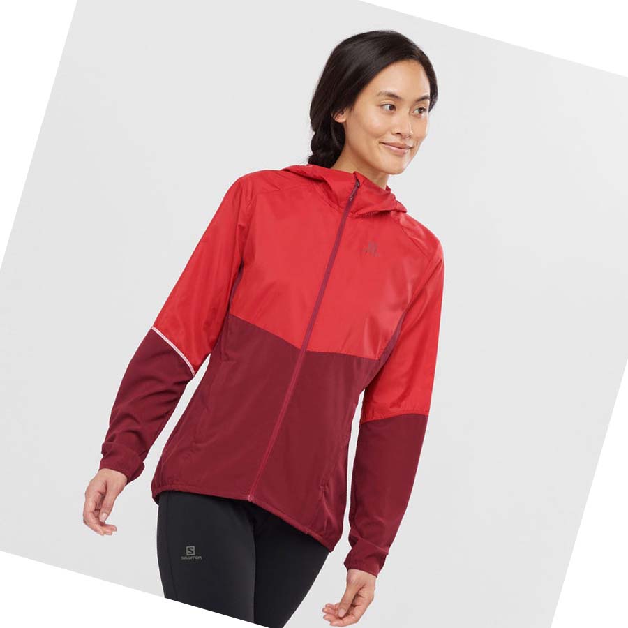 Salomon AGILE WIND WINDBREAKERS Jakke Dame Rød | NO3165KOR