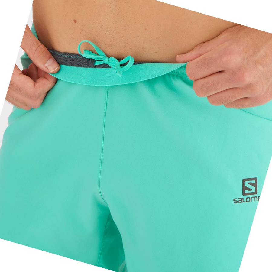 Salomon CROSS 5'' Shorts Herre Mint | NO2457AHK