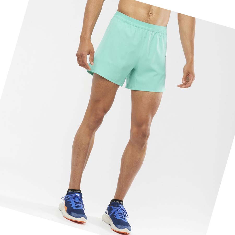 Salomon CROSS 5'' Shorts Herre Mint | NO2457AHK