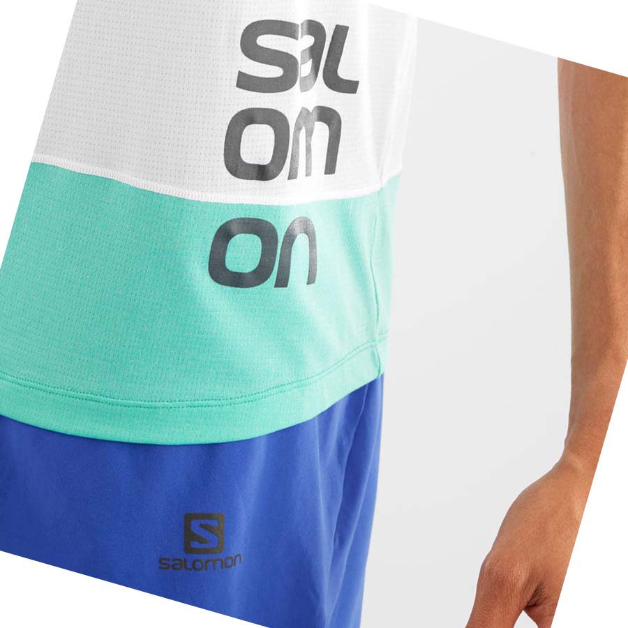 Salomon CROSS RUN GRAPHIC T-skjorte Herre Hvite | NO2390VRW