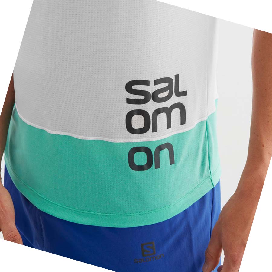 Salomon CROSS RUN GRAPHIC T-skjorte Herre Hvite | NO2402OKI