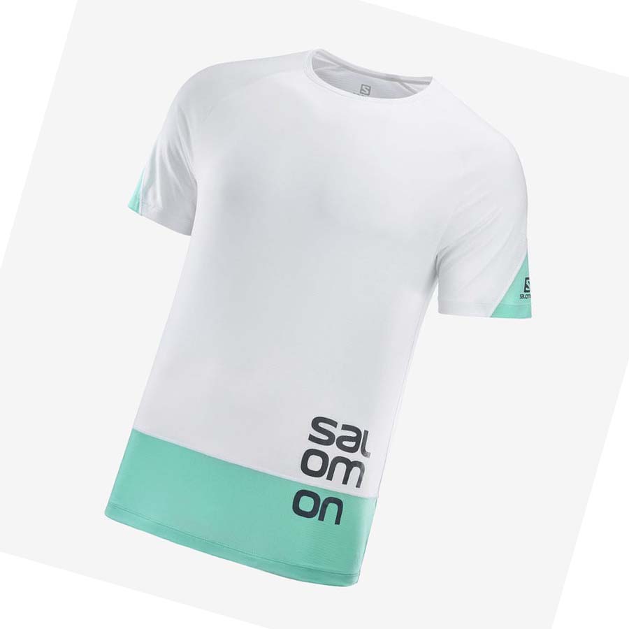 Salomon CROSS RUN GRAPHIC T-skjorte Herre Hvite | NO2402OKI