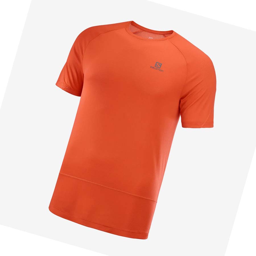 Salomon CROSS RUN T-skjorte Herre Oransje | NO2394QMA