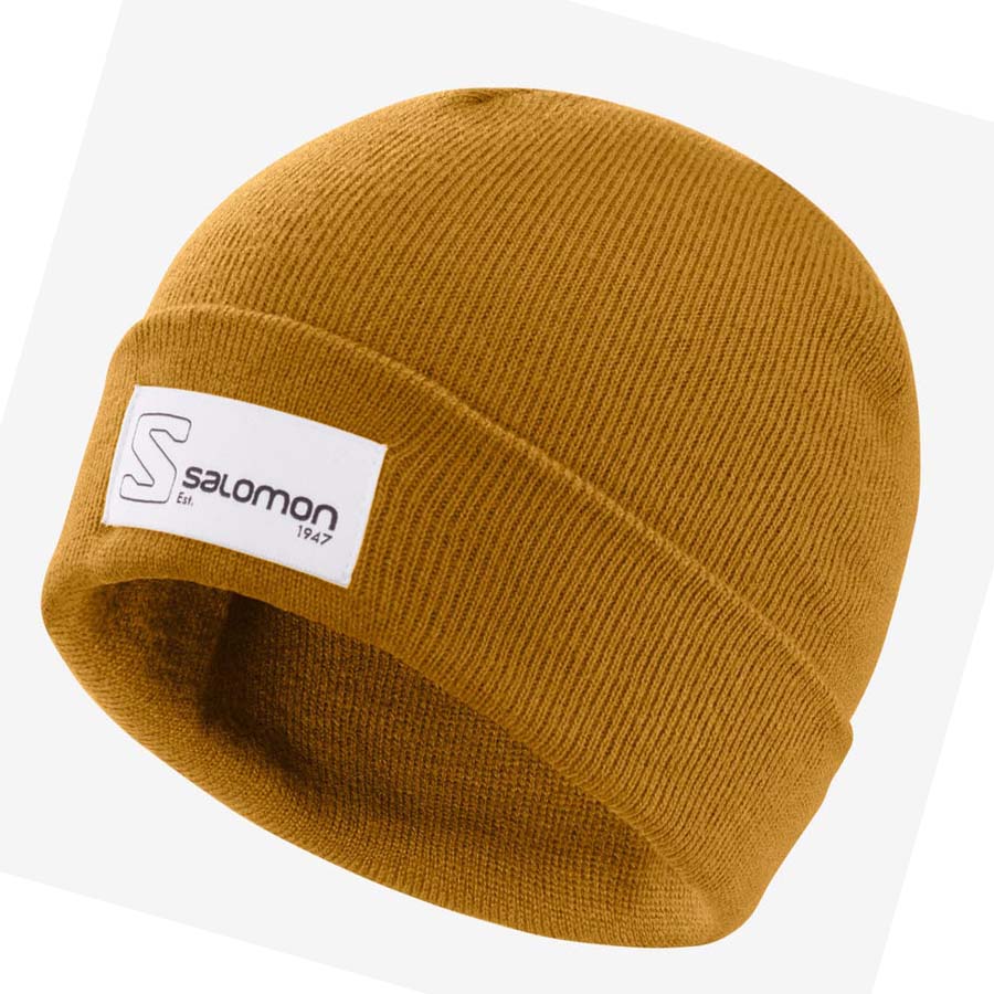 Salomon OUTLIFE LOGO Hatt Herre Brune | NO2636HAP