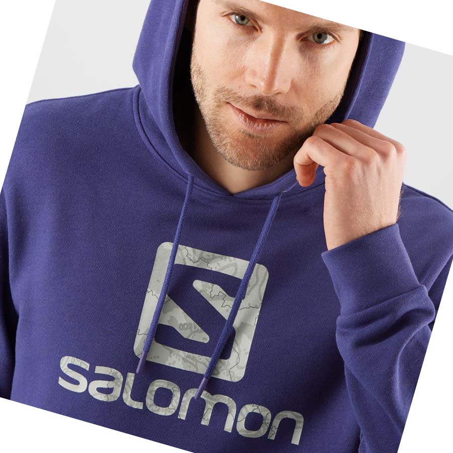 Salomon OUTLIFE LOGO SUMMER Hettegensere Herre Lilla | NO2405AHK