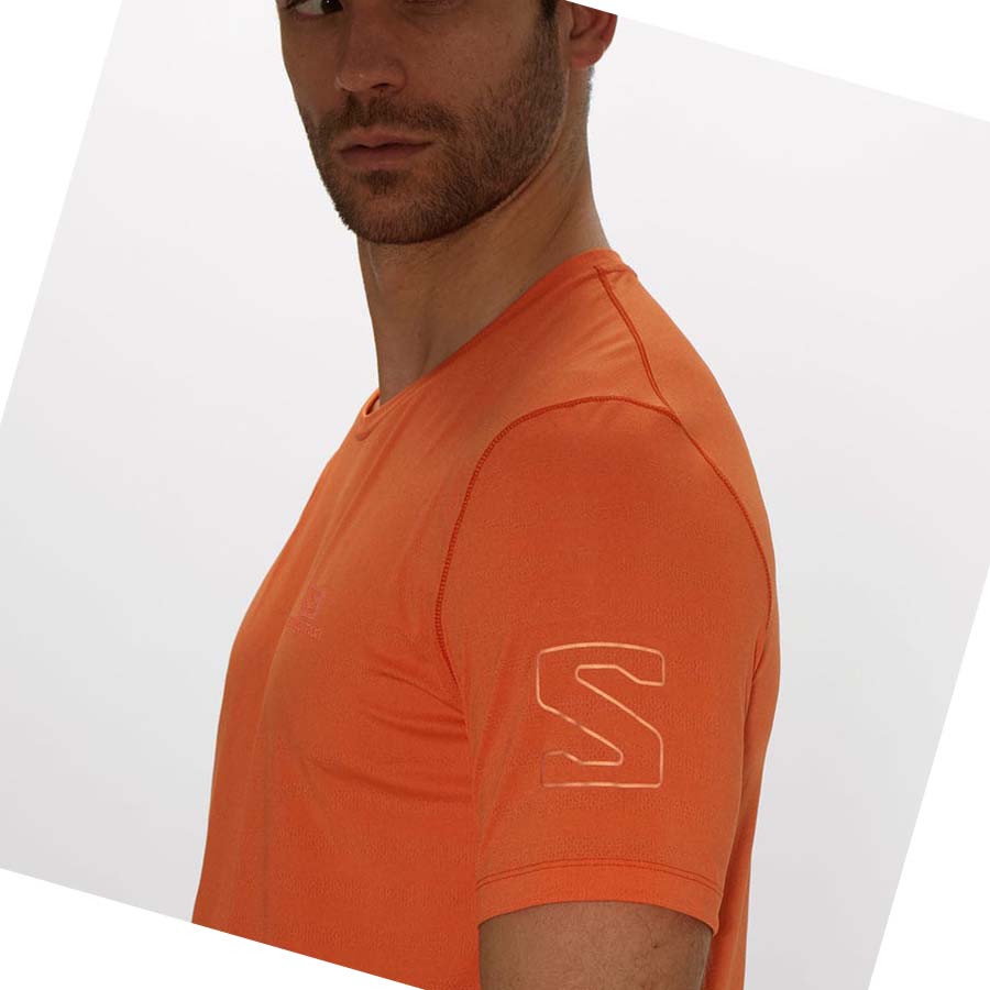 Salomon OUTLINE T-skjorte Herre Oransje | NO2374UZG