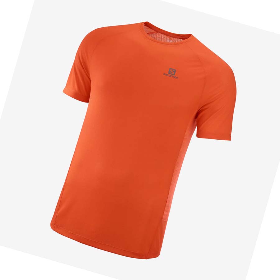 Salomon PROMO CROSS REBEL T-skjorte Herre Oransje | NO2386LIS