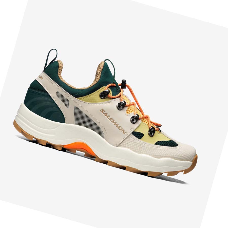 Salomon RAID WIND Joggesko Dame Beige | NO2972UZG