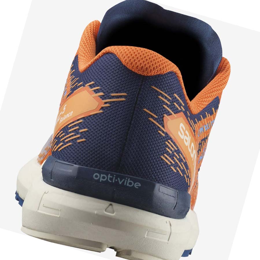 Salomon SONIC 5 BALANCE Løpesko Herre Oransje | NO2160YXF