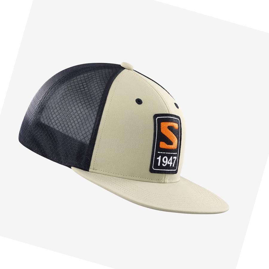 Salomon TRUCKER Hatt Herre Beige | NO2652NWY