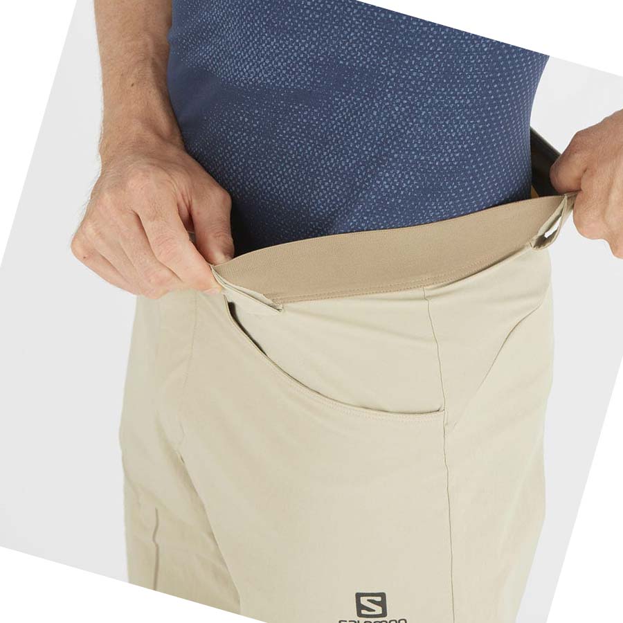 Salomon WAYFARER Shorts Herre Beige | NO2478FDN