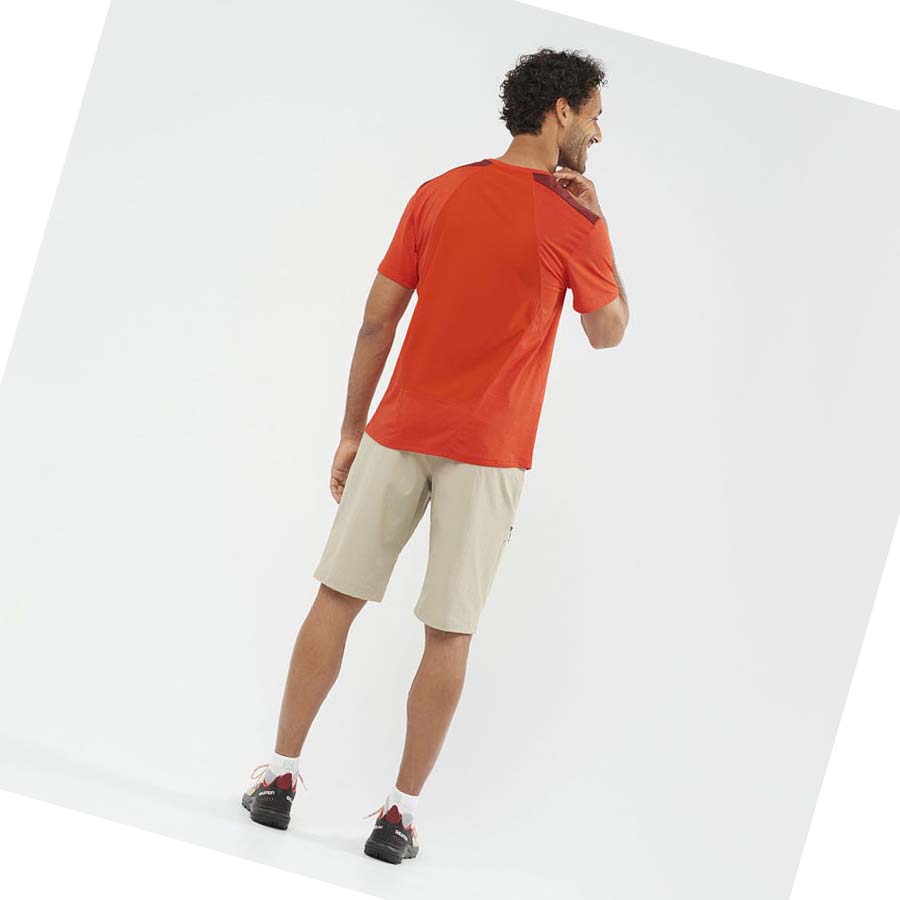 Salomon WAYFARER Shorts Herre Beige | NO2478FDN