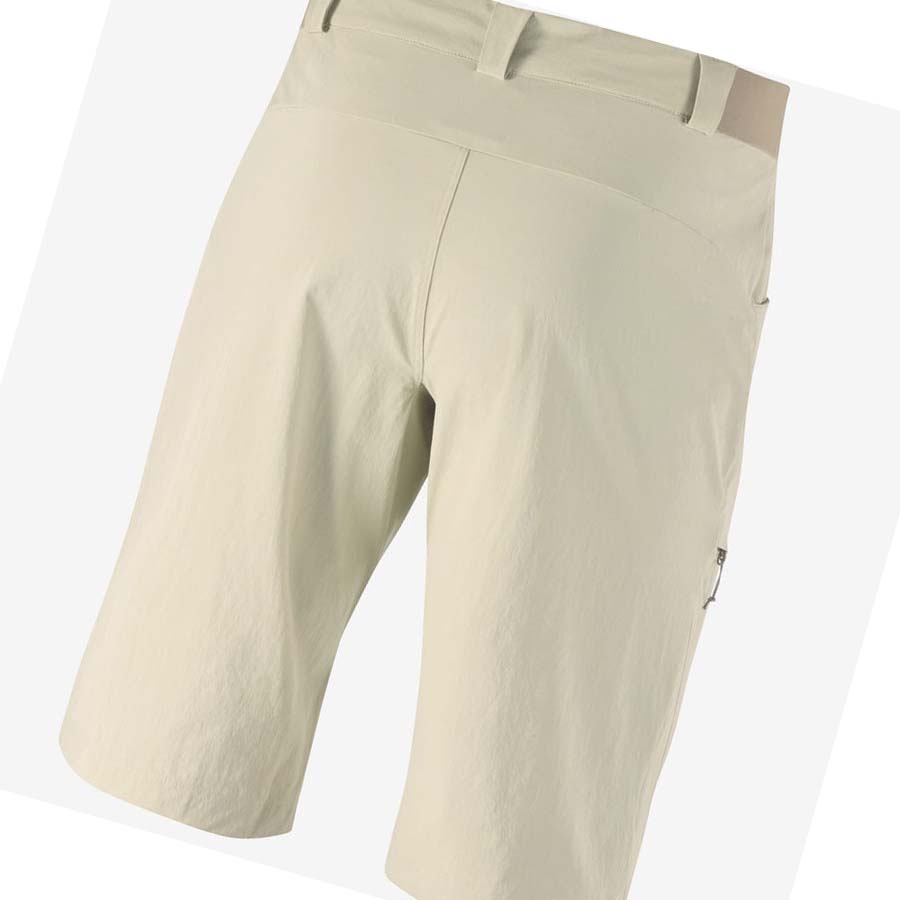 Salomon WAYFARER Shorts Herre Beige | NO2478FDN