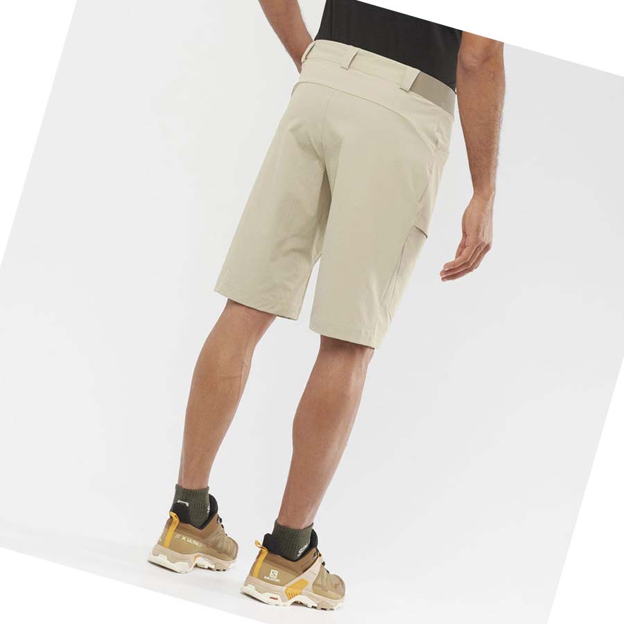 Salomon WAYFARER Shorts Herre Beige | NO2478FDN