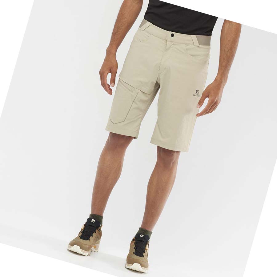 Salomon WAYFARER Shorts Herre Beige | NO2478FDN