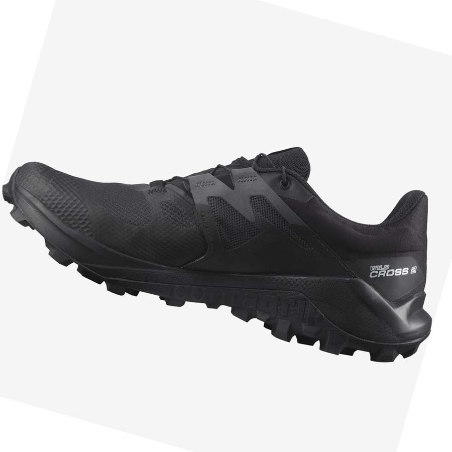 Salomon WILDCROSS 2 GORE-TEX Trail Løpesko Herre Svarte | NO2089YXF