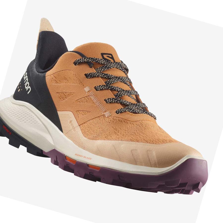 Salomon WoOUTPULSE GORE-TEX Fjellsko Dame Brune | NO2786WNB