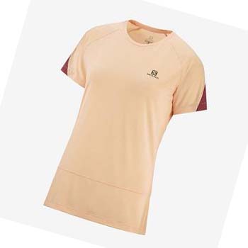 Salomon CROSS RUN T-skjorte Dame Beige | NO3081AHK