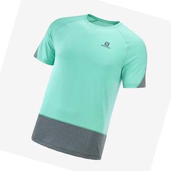 Salomon CROSS RUN T-skjorte Herre Mint | NO2398TCE