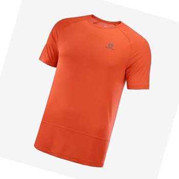 Salomon CROSS RUN T-skjorte Herre Oransje | NO2394QMA