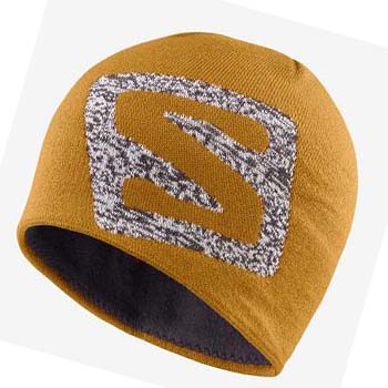 Salomon GRAPHIC Hatt Dame Brune | NO3450HAP