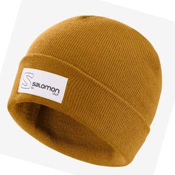 Salomon OUTLIFE LOGO Hatt Dame Brune | NO3468HAP