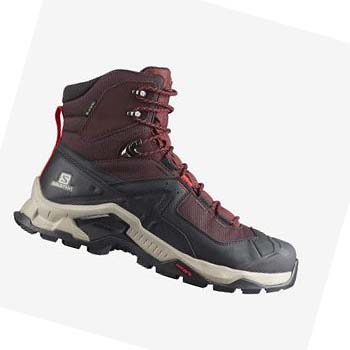 Salomon QUEST ELEMENT GORE-TEX Fjellsko Herre Grå Rød | NO2077ZUT