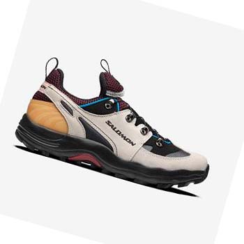 Salomon RAID WIND ADVANCED Joggesko Dame Beige Blå | NO2932KOR