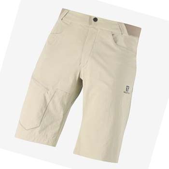 Salomon WAYFARER Shorts Herre Beige | NO2478FDN