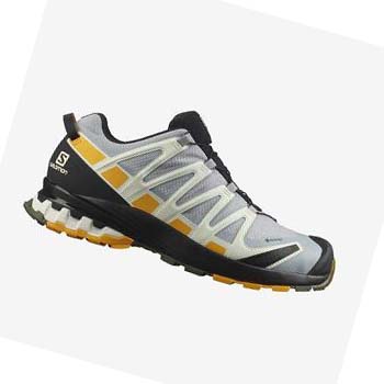 Salomon XA PRO 3D v8 GORE-TEX Trail Løpesko Herre Svarte Grå | NO2119PJJ