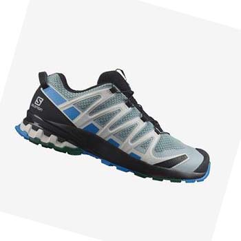 Salomon XA PRO 3D v8 Trail Løpesko Herre Mint | NO2099HAP