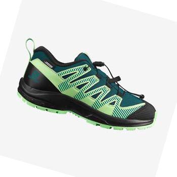 Salomon XA PRO V8 CLIMASALOMON™ WATERPROOF Trail Løpesko Barn Grønn | NO3604FDN